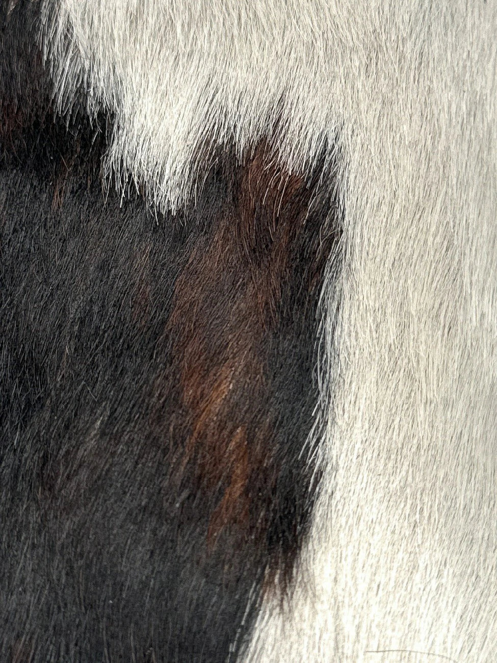 Sac demi-lune en cuir daim et vachette U-NYX Numéro 01 - Image 4